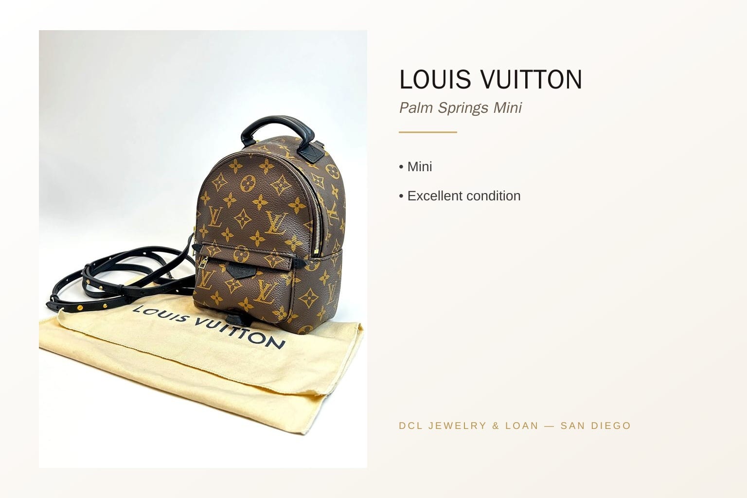 Louis Vuitton Palm Springs Mini Backpack 8