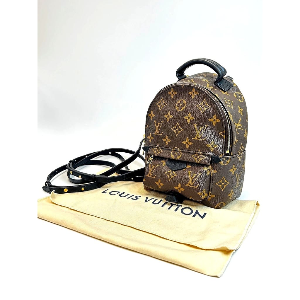 Louis Vuitton Palm Springs Mini Backpack 1