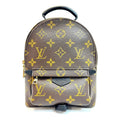Louis Vuitton Palm Springs Mini Backpack 2