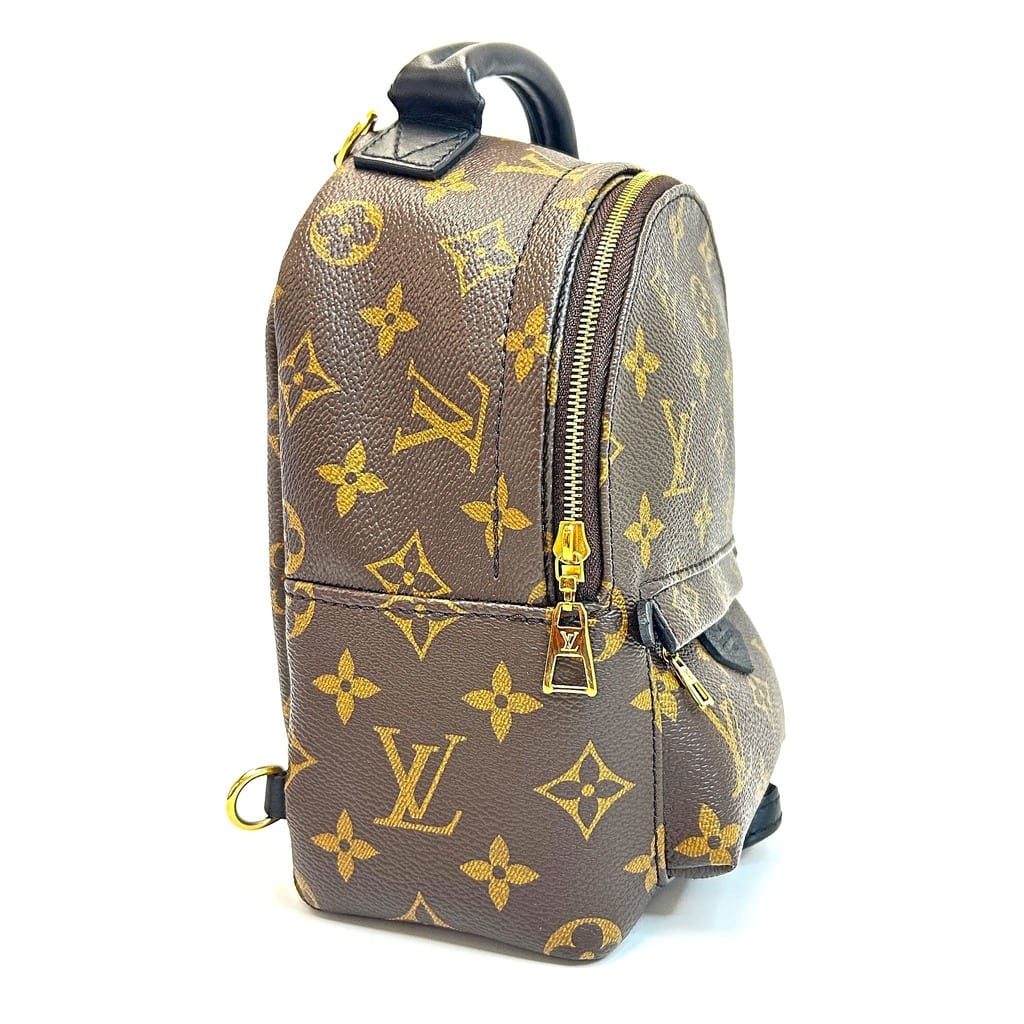 Louis Vuitton Palm Springs Mini Backpack 3