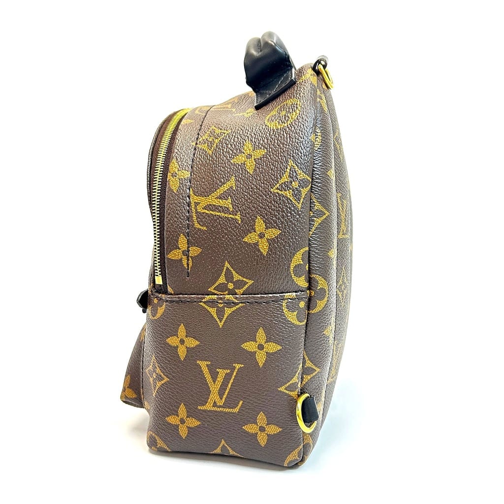 Louis Vuitton Palm Springs Mini Backpack 4