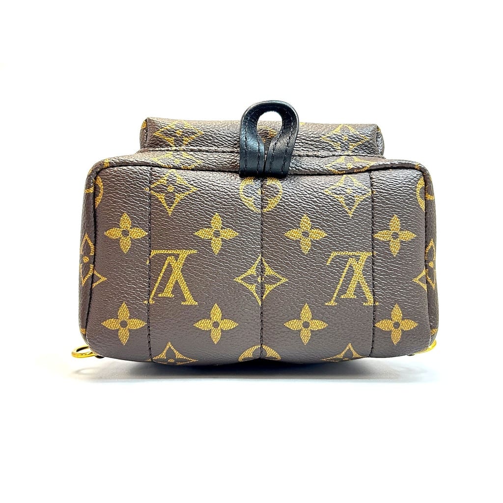 Louis Vuitton Palm Springs Mini Backpack 5
