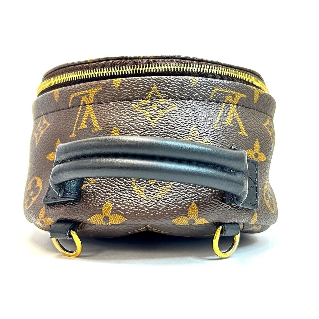 Louis Vuitton Palm Springs Mini Backpack 6